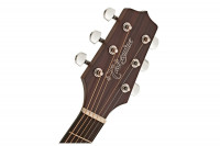 Takamine GN10CE NS